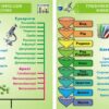 Набір стендів «Тридоменна система життя: еволюція та різноманіття» для кабінету біології
