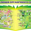Комплект стендів з біології «Еволюція органічного світу»