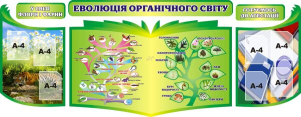 Комплект стендів з біології «Еволюція органічного світу»