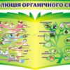 Комплект пластикових стендів «Еволюція органічного світу»