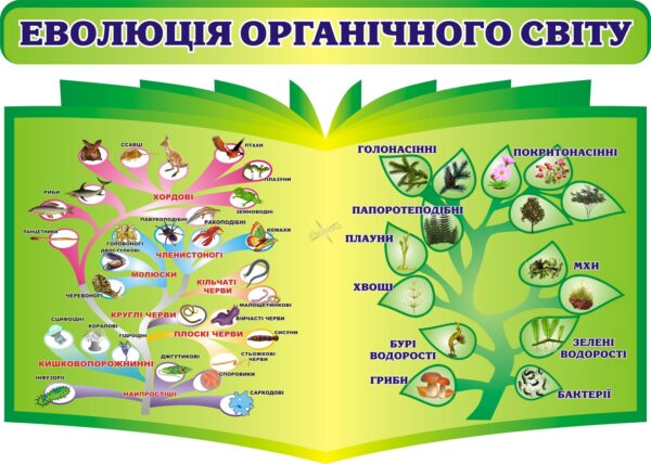 Комплект пластикових стендів «Еволюція органічного світу»