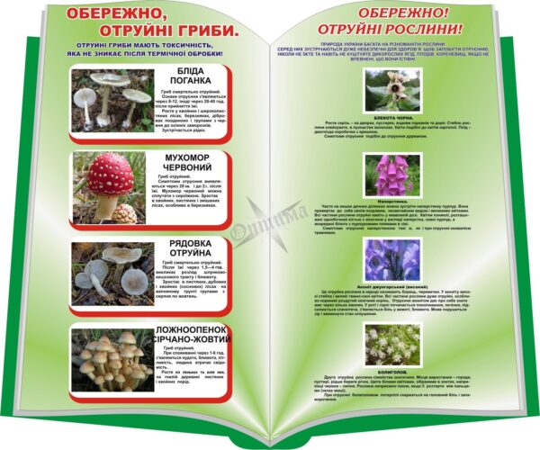 Стенд «Отруйні гриби та рослини»