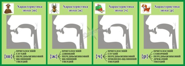 Пластиковий стенд «Артикуляційна характеристика приголосних звуків»