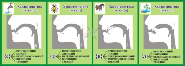 Пластиковий стенд «Артикуляційна характеристика приголосних звуків» для кабінету логопеда