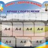 Стенд «Спорт – здоров'я нації» з книжками