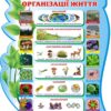 Пластиковий стенд «Рівні організації життя»