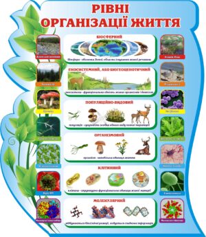 Пластиковий стенд «Рівні організації життя»