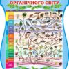 Пластиковий стенд «Еволюція органічного світу»