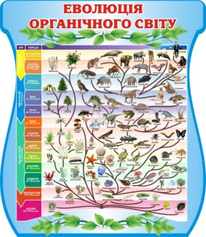 Пластиковий стенд «Еволюція органічного світу»