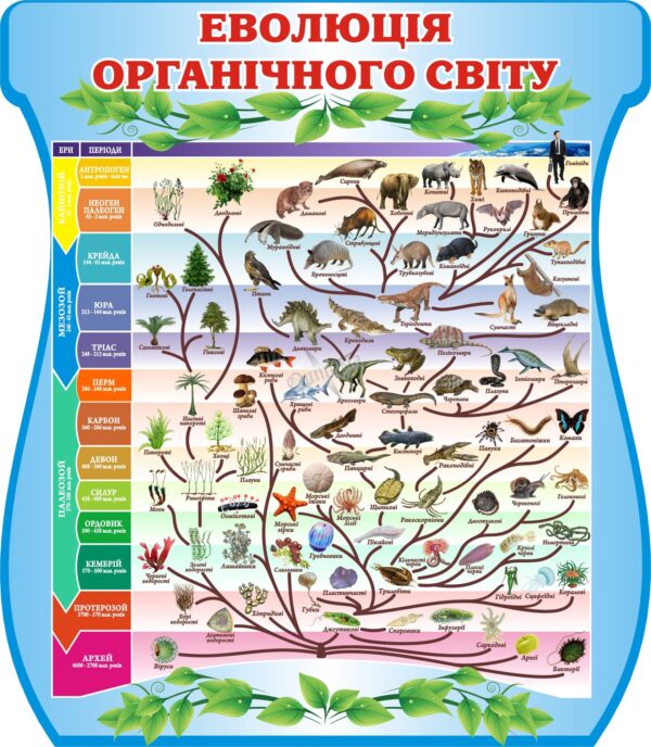Пластиковий стенд «Еволюція органічного світу»