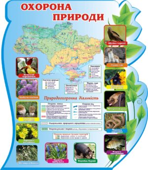 Пластиковий стенд «Охорона природи»