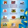 Стенд «Символи України та народні обереги»