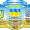 Стенд «Державна символіка»