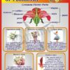 Стенд «Styles of floristry»