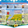 Стенд «Сузір'я письменників Одещини»