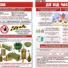 Комплект пластикових стендів «Мінна безпека та повітряна тривога»