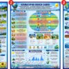 Інформаційні пластикові стенди для кабінету географії